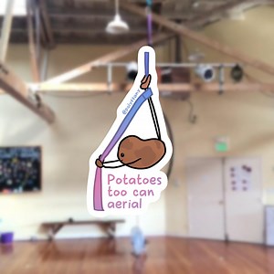 Aerial Silks Potato Sticker | Ankle Hang | Waterproof Vinyl | Holographic Option | Motivational | Great Gift for Aerialists - Etsy