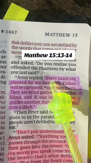 Matthew 15:13-14 - Stay Rooted in God's Word