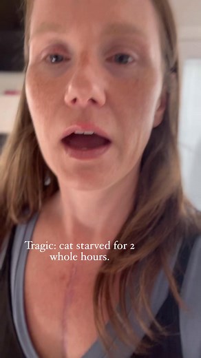 Midnight 🐈‍⬛ almost didn’t make it y’all… 2 hours late on wet food. 🤧💀😮‍💨 #cats #catsoffacebook #funnypets #crazycatlady #cathumor #furbabylife | Amanda K Head