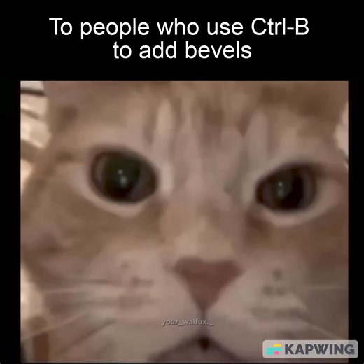 13K views · 178 reactions | why not use the bevel modifier? Its non-destructive. | Blender meme | Facebook