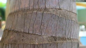 1.9K views · 29 reactions | SUMMER ESCAPE – UP TO 30% OFF AT BALAFON...