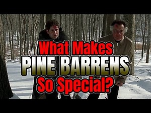 The Brilliance of Pine Barrens - Soprano Theories