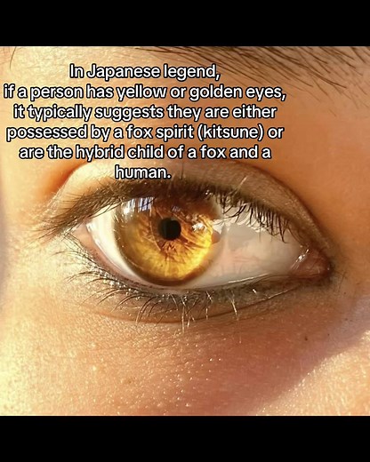 Japanese Legend: Yellow Eyes & Fox Spirits