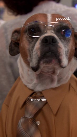 Meatballs Forever: Jim Halpert's Hilarious Pranks