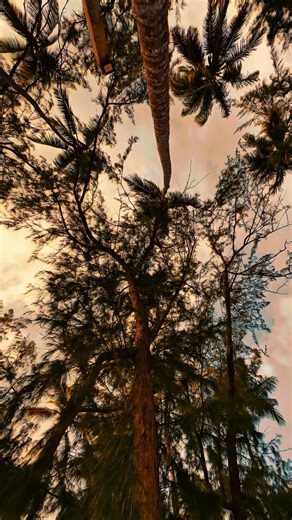 Sophisticated tourist, frequent flyer, born to party, forced to work.. | Fly Project