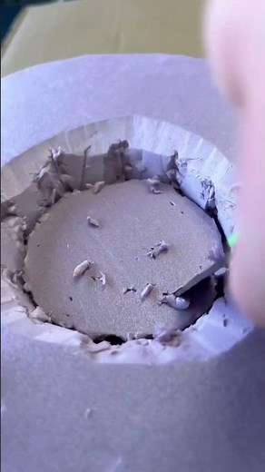 Making a foam planter 🪴 #artprocess #reuse #planter