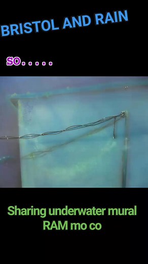 #houseofkolor #estepcustoms #createxcolors #iwataairbrush #customairbrush #customural #corvette #dangeriousintersection | Willie Estep