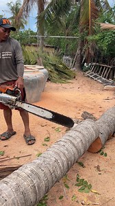 28K views · 83 reactions | Rural Palm Tree Cutting Machine Techniques | Creative Handmades Ideas Diy | Facebook
