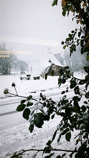 Winter is here 💙🥳☃️ #CairngormsWinter . . . . #cairngorms #cairngormnationalpark #scotland #travel #instagood | VisitCairngorms