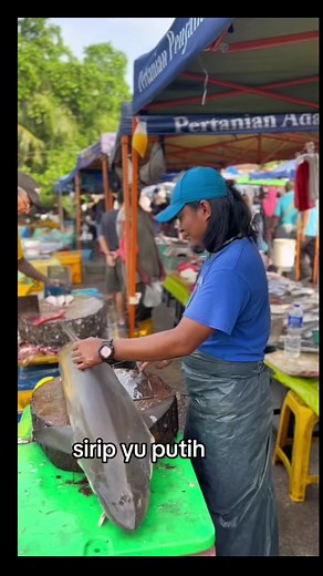 #azmiikansegar sirip ikan yu putih | Azmizi Azmizi