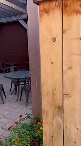 Craving something yummy? Swing in to Java Moon in downtown Sheridan, WY where everything is made in-house and from scratch! ❤️ *This is a paid partnership with Downtown Sheridan Association. #downtownsheridanassociation #downtownsheridan #shoplocal #sheridanwyo #SheridanCounty #ShopSmall #localbuisnesses #ThatsWY #supportlocal | The Sheridan Press