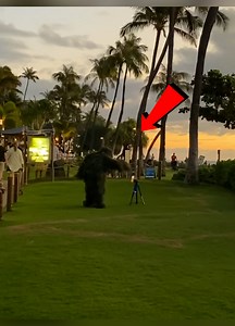 2.2K views | When You Try But Fail Hard ❌ | Uncensored Adults | Facebook