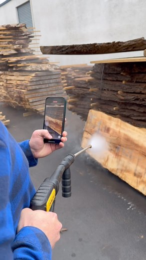 6.6K views · 19 reactions | Big Leaf Maple is abundant in the Pacific Northwest and has long been among the most popular hardwoods. However, only one tree out of hundreds of Big Leaf Maple will be figured. Excitingly, we have recently sourced a log that showcases extraordinary figure and vibrant colors. | GL Veneer, Inc. | Facebook