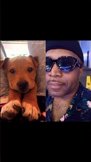 THE JOYFULL FACE EVER...