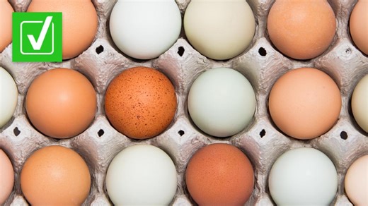 VERIFY: Does cooking eggs kill bird flu?