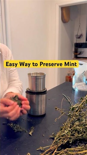 How to dry mint 🌿