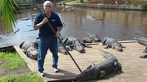 Have you met Tim Williams our Dean of Alligator Wrestling???? #gatorland #wearealligators #weareflorida | Gatorland Orlando