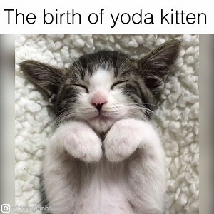 1.5M views · 21K shares | The force is strong with this one | VT | Facebook