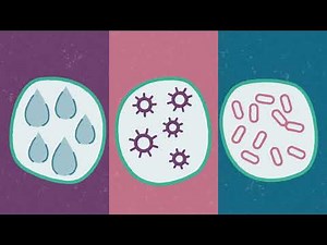 When to start, and how to do a perineal massage