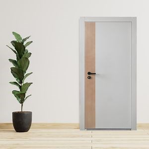 [Hot Item] China Made Custom Color Custom Size Steel Entrance Door with Security Lock