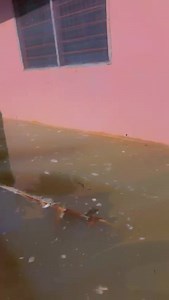 1.4K views · 27 reactions | Radiogold905fm on Reels | Facebook