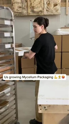 How we feel growing Mycelium Packaging knowing it won't pollute our earth