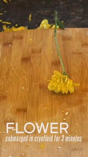 DIY Supercooled Cryo Fluid #diy #science #chemistry | The Modern Rogue