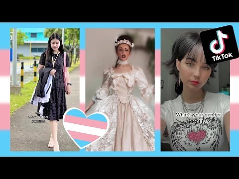 Trans TikToks Compilation #8