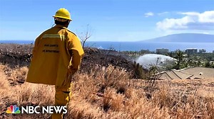 Brush fire prompts evacuation of Lahaina neighborhood - The Global Herald