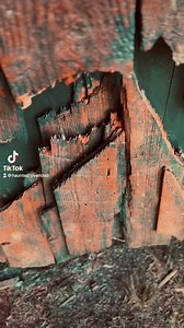 #hauntedoverload | Haunted Overload