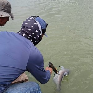 100K views · 2.4K reactions | #pesca de #bagres | Pesca y Aventura | Facebook