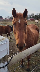 Travel With Sara on Reels | Facebook