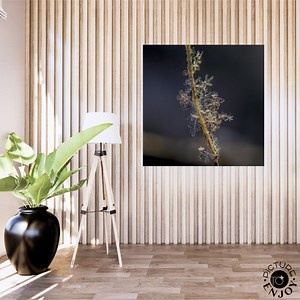 Snowflakes on a Small Tree Branch, Macro Photography, Winter Wall Art, Calm Home Decor, Printable Digital Photo, Snowflake Decor - Etsy Canada