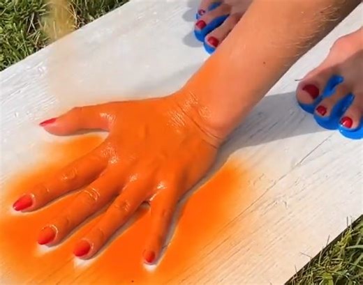 Smart inventions for the most creative pet owners! | 5-Minute Crafts