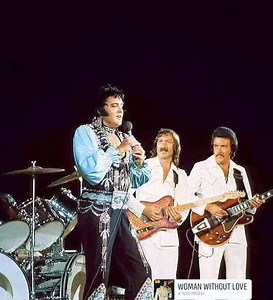 50K views · 2.9K reactions | ❤殺 Elvis no palco com James Burton e John Wilkinson. | 100% "LOVE love ELVIS Presley" | Facebook