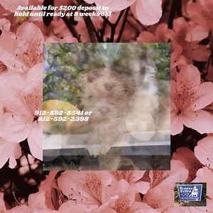 Hidden Valley Farms on Reels