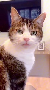 ตะนายแท้😆😆😆 | กิ๊ฟ เฟอร์รีน