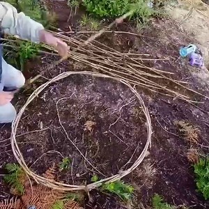 Wilderness survival build a bomb shelter for the night | Dungannon Thomas Clarkes