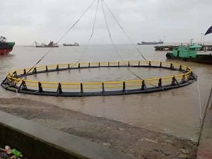 [Hot Item] Aquaculture Fishing System Fish Farms Plastic Floating Net Cage