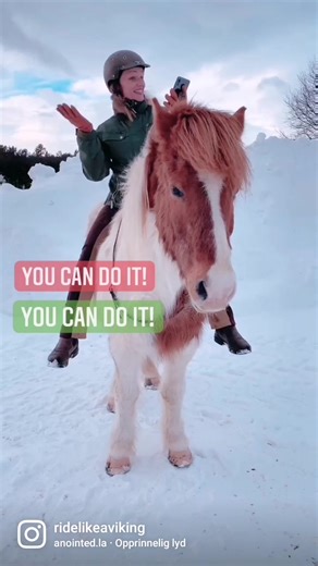 18K views · 352 reactions | Liberty is great if you want to build a magic bond with your horse and solve problems such as Rushing or bolting Barn sourness The horse being hard in the mouth Or dull to the leg aid It builds friendship and trust between horse and rider, a bond stronger than any rope❤️ Have you tried liberty with your horse? | Ride Like a Viking | Facebook