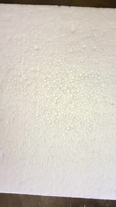 1.9K views · 28 reactions | The Harlequin Beetle is a large tropical...