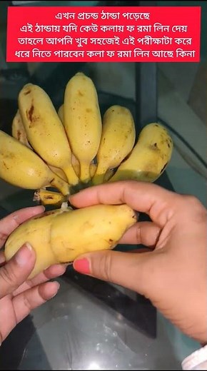 If someone puts formalin in bananas in extreme cold, you can find out by testing. #everyone