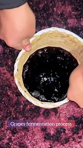 Grapes fermentation process #oddlysatisfying #OMG #amazingvideo | Home Items