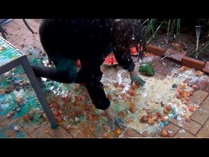 Milk Challenge EGGSTREME (Feat. HowToBasic) - BTS