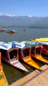 44K views · 777 reactions | Dal Lake Srinagar Kashmir | Nature Explore | Facebook