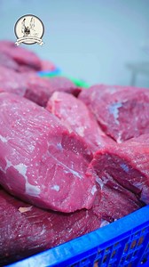 4.5K reactions · 30 shares | ✨퐒퐮̛̣ 퐜퐡퐢̉퐧 퐜퐡퐮 퐭퐫퐨퐧퐠 퐭퐮̛̀퐧퐠 퐤퐡퐚̂퐮 – 퐂퐚퐦...