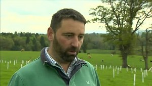 Tree planting in Northern Ireland needs to at least triple to meet official targets. A body representing the forestry industry says we should be planting 900 hectares a year of new trees to meet an overall aim of 18 million trees planted by 2030. Louise Cullen reports | BBC Newsline