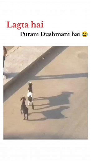 Lagta hai purani Dushmani hai #reelsviralシ #reelstrendingシ | Front page alive