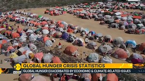 In a concerning revelation, the 2024 Global Hunger Index has ranked India 105th out of 127 countries, placing it firmly in the 'serious' category for hunger levels. Shivan Chanana tells you more | WION