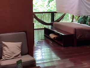 ✨ Unleash Your Amazonian Spirit! 🍃 Embrace the magic of Posada Amazonas Lodge while discovering our enchanting suites with king beds and mosquito nets. Refresh yourself in private eco-friendly bathrooms and wander through nature from your comfortable hammock inside your forest view room. 🌿 Let the rainforest ignite your soul! Book now or SAVE this post for a future unique adventure *** ✨ ¡Libera tu Espíritu Amazónico! 🍃 Abrázate a la magia de Posada Amazonas Lodge mientras descubres nuestras 